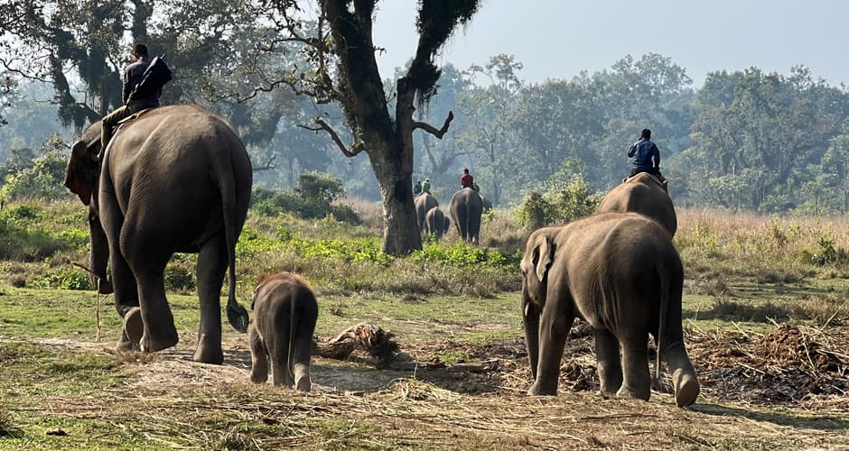 Nepal Cultural and Wildlife Explorer 02