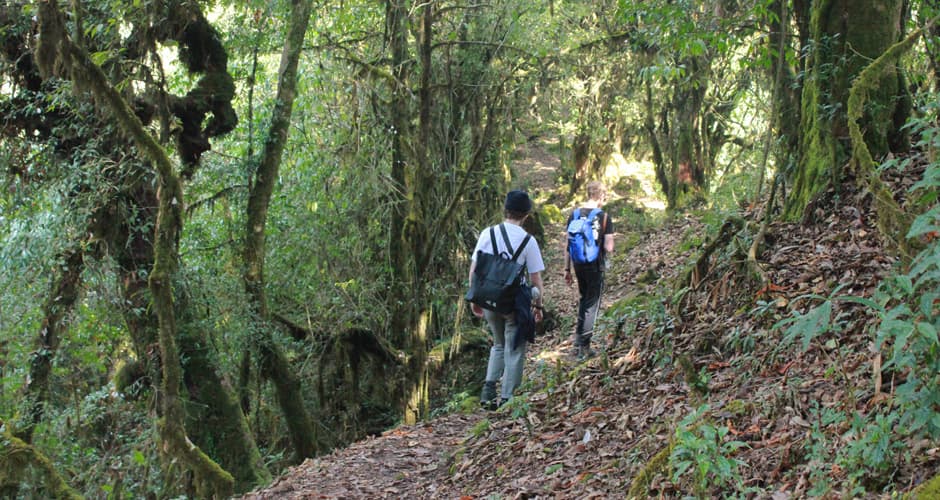 Mardi Himal Trek 1