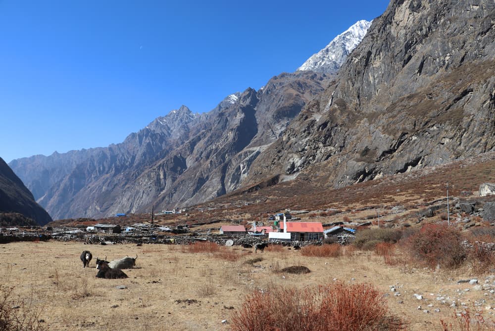 Langtang Trek 02