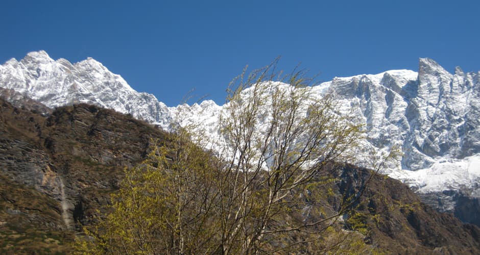 Tsum Valley 01