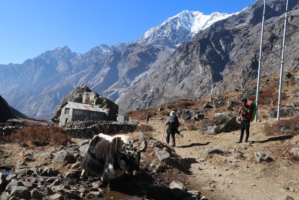 Langtang Gosainkunda Trek 01