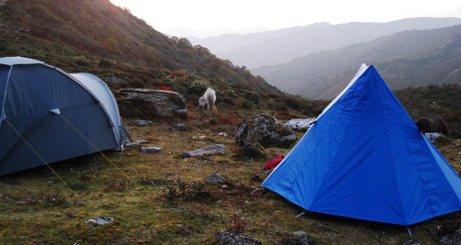 Tented Camp in Dagala Trek