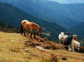 Bhutan Enchanting Odyssey: Dagala Trek and Tours